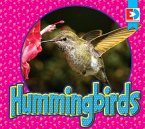 Hummingbirds (eBook, PDF)