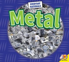 Metal (eBook, PDF) - Brundle, Harriet