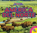 América del Norte (eBook, PDF)