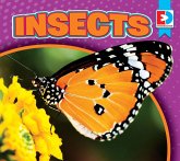 Insects (eBook, PDF)