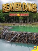 Beaver Dams (eBook, PDF)