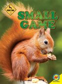 Small Game (eBook, PDF)