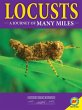 Locusts: A Journey of Many Miles... - Bild 1