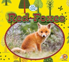 Red Foxes (eBook, PDF) - Kissock, Heather