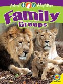 Family Groups (eBook, PDF) Family Groups (eBook, PDF)