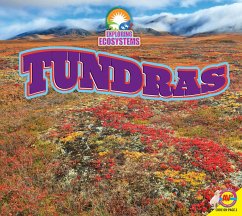 Cover Tundra (eBook, PDF)