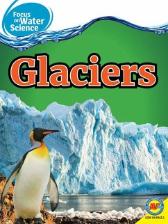 Cover Glaciers (eBook, PDF)