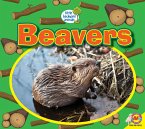 Beavers (eBook, PDF)
