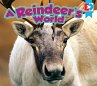 A Reindeer's World (eBook, PDF) - Bild 1