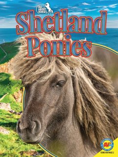 Cover Shetland Ponies (eBook, PDF)
