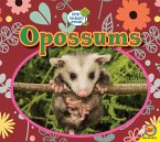 Opossums (eBook, PDF)