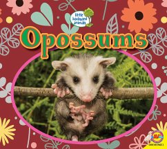 Opossums (eBook, PDF) - Kissock, Heather