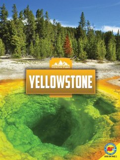 Cover Yellowstone (eBook, PDF)