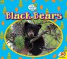 Black Bears (eBook, PDF) - Bild 1