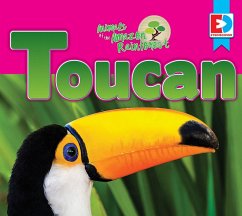 Animals of the Amazon Rainforest: Toucan (eBook, ePUB) - Gillespie, Katie