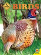 Birds (eBook, PDF) - Bild 1