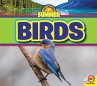 Birds (eBook, PDF) - Bild 1