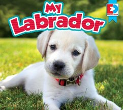 My Labrador (eBook, ePUB) - Kissock, Heather