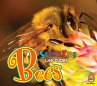 Bees (eBook, PDF) - Bild 1