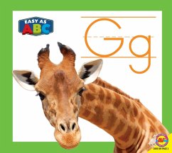Cover Gg (eBook, PDF)