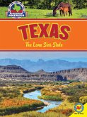 Texas: The Lone Star State (eBook, PDF)