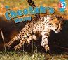 A Cheetah's World (eBook, PDF) - Bild 1