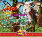 Vipo Visits the Amazon Rainforest (eBook, PDF)