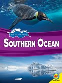 Southern Ocean (eBook, PDF)