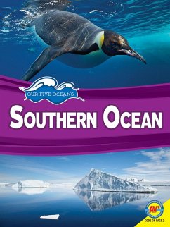 Cover Southern Ocean (eBook, PDF)