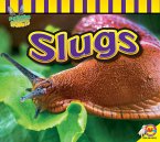 Slugs (eBook, PDF)