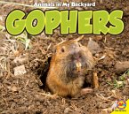Gophers (eBook, PDF)