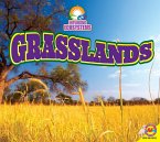 Grasslands (eBook, PDF)