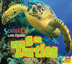 Cover Sea Turtles (eBook, PDF)