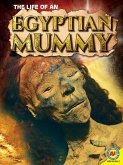 The Life of an Egyptian Mummy (eBook, PDF)