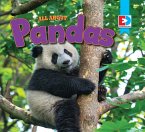 All About Pandas (eBook, ePUB)