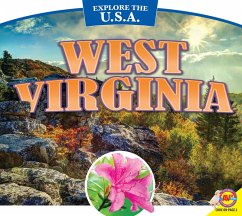 Cover West Virginia (eBook, PDF)