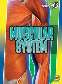Muscular System (eBook, PDF)