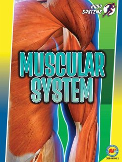 Cover Muscular System (eBook, PDF)