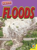 Floods (eBook, PDF)