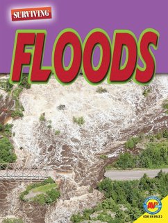 Cover Floods (eBook, PDF)