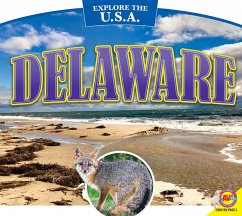 Cover Delaware (eBook, PDF)