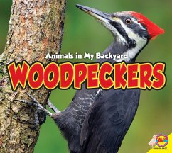Cover Woodpeckers (eBook, PDF)