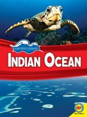 Indian Ocean (eBook, PDF)