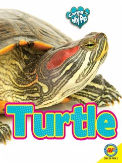 Cover Turtle (eBook, PDF)