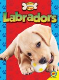 Labradors (eBook, PDF)
