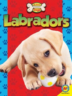 Labradors (eBook, PDF) - Gray, Susan H.
