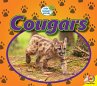 Cougars (eBook, PDF) - Bild 1