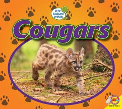 Cougars (eBook, PDF) - Kissock, Heather