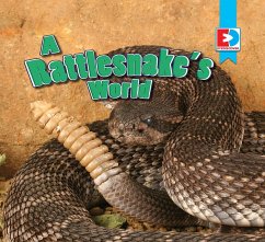 Cover A Rattlesnake's World (eBook, ePUB)