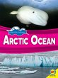 Arctic Ocean (eBook, PDF) - Bild 1
